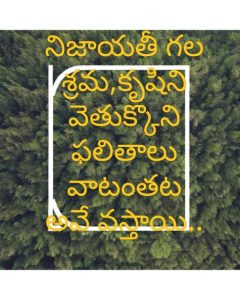 telugu quote on philosophy